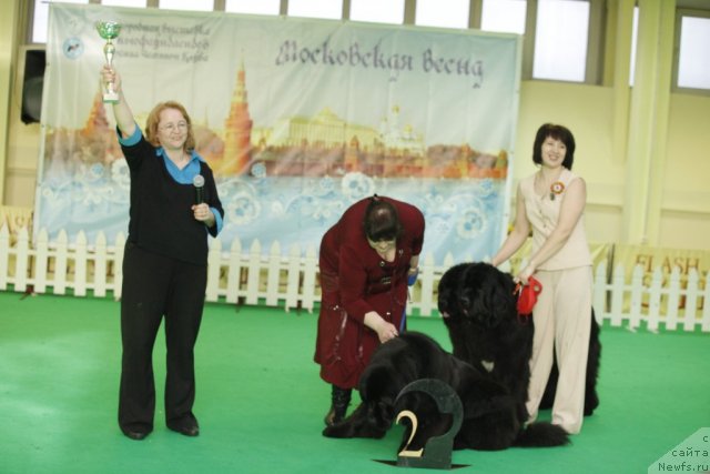 Фотография № 92076