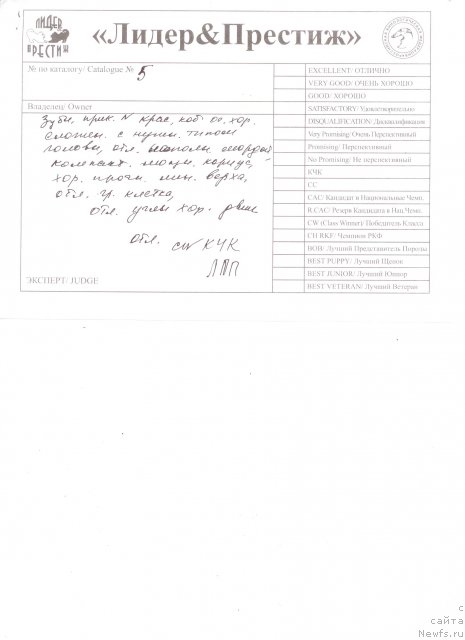 Фотография № 92082