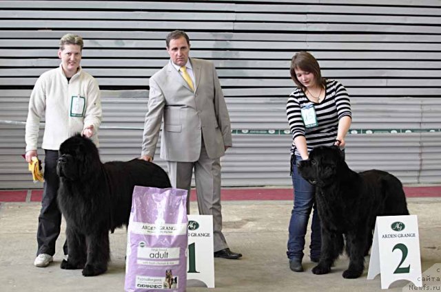 Фотография № 92087