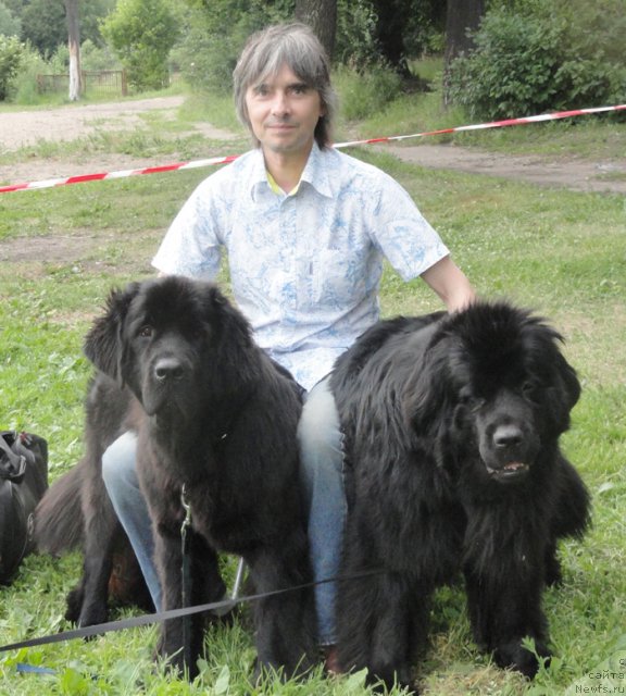 Фото: ньюфаундленд Бегущая по Волнам Харизма (Beguschaya po Volnam Harizma), ньюфаундленд Бегущая по Волнам Само Совершенство (Beguschaya po Volnam Samo Sovershenstvo), Александр Акулин