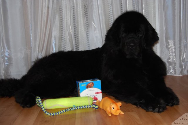 Фотография № 92161