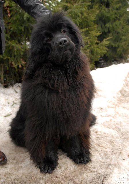 Фотография № 92188