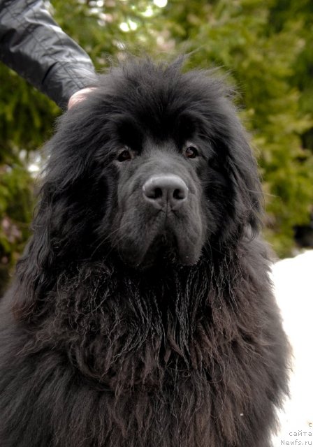 Фотография № 92190