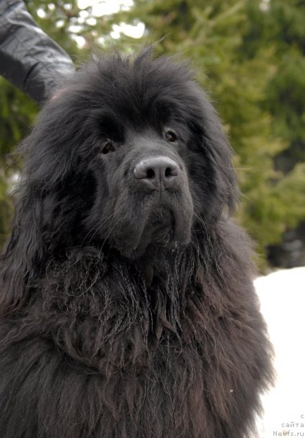 Фотография № 92191