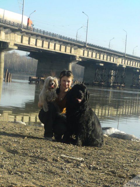 Фотография № 92239