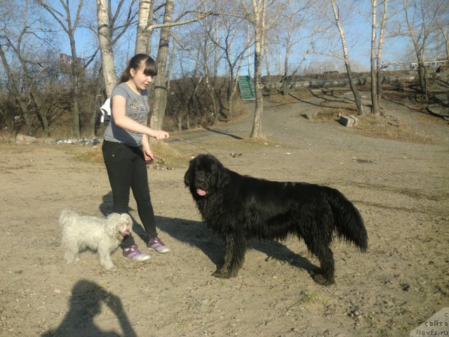 Фотография № 92241