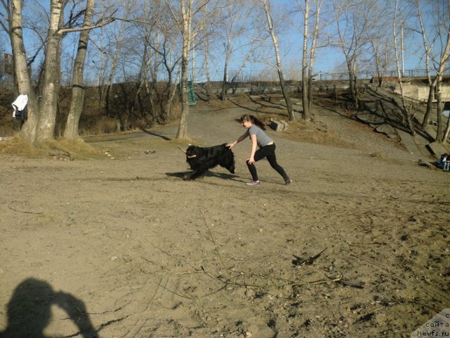 Фотография № 92242