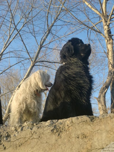 Фотография № 92247