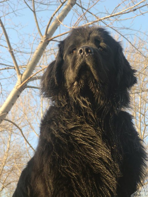 Фотография № 92248