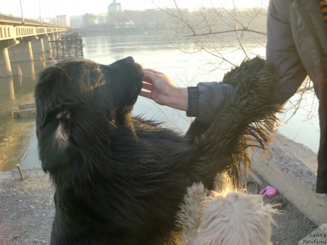 Фотография № 92251