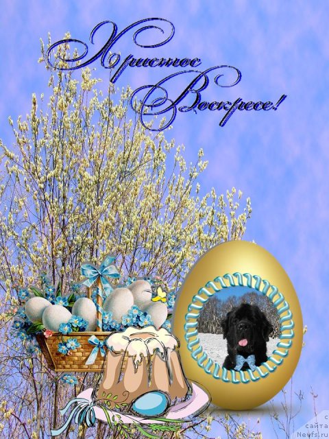 Фотография № 92366