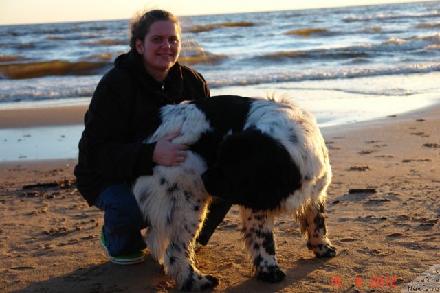 Фото: ньюфаундленд Аквиан Сонг Зеро Гравити (Akvian Song Zero Graviti), Елена Розенфельд