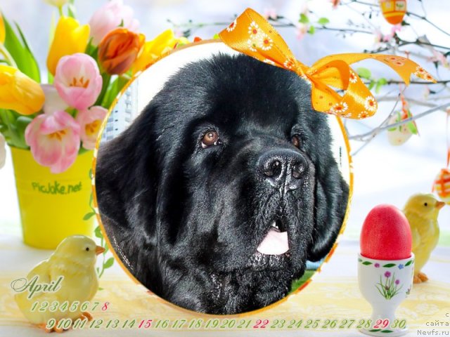 Фотография № 92393