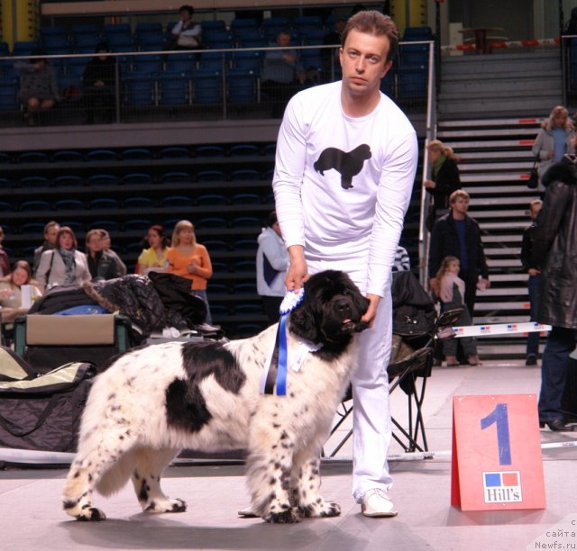 Фотография № 92399