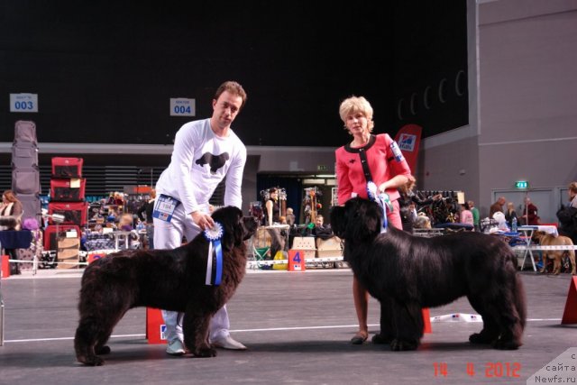 Фотография № 92400