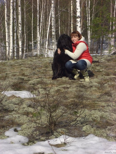 Фото: ньюфаундленд Анджел Викториус, Лиля