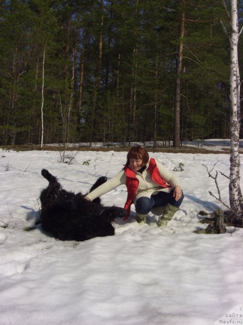 Фото: ньюфаундленд Анджел Викториус, Лиля