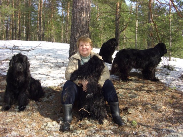 Фотография № 92430