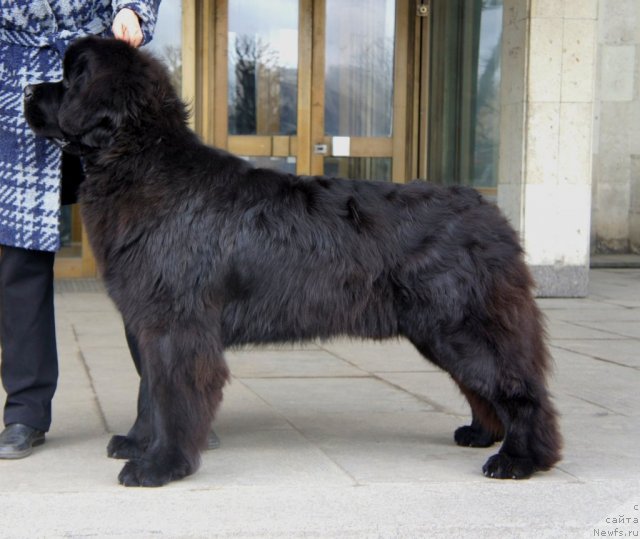 Фотография № 92445