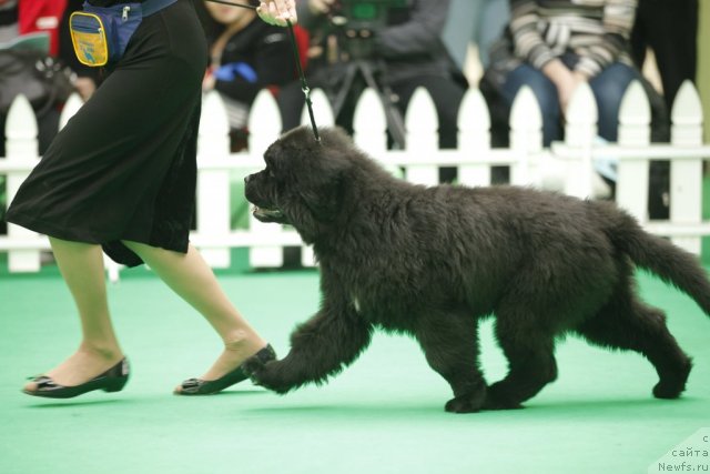 Фотография № 92452