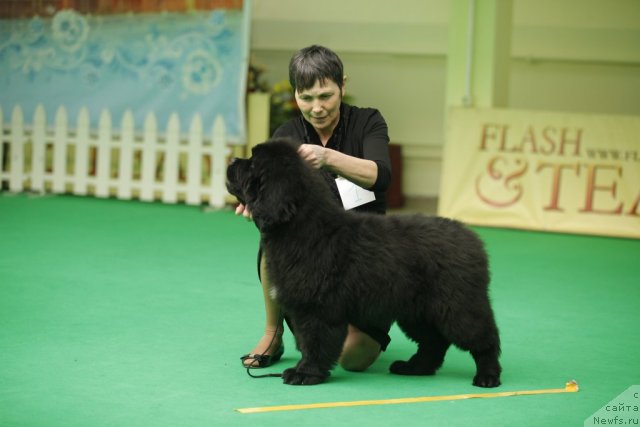 Фотография № 92457