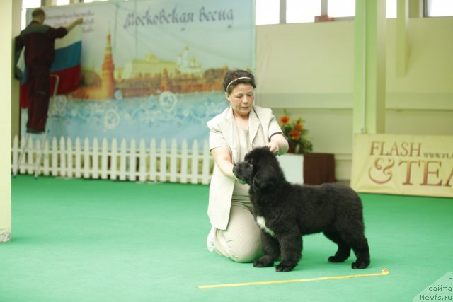 Фотография № 92464