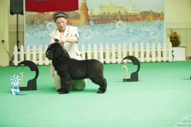 Фотография № 92468