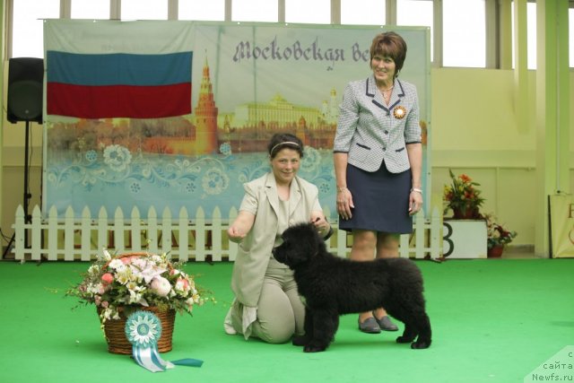 Фотография № 92472