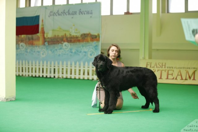 Фотография № 92473