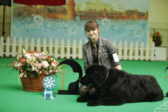 Фотография № 92477