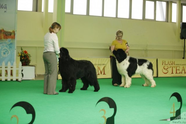 Фотография № 92478