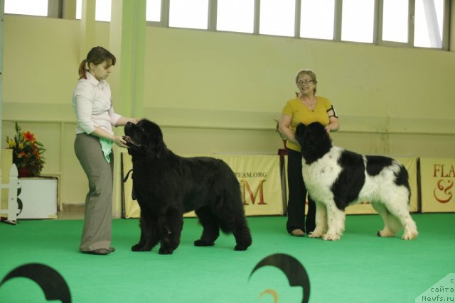 Фотография № 92479