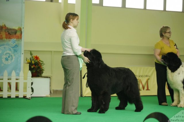 Фотография № 92480