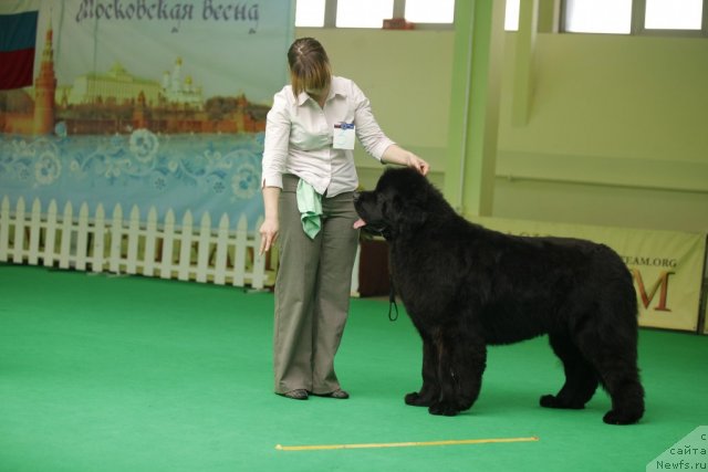 Фотография № 92485