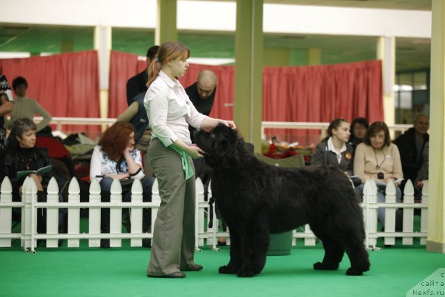 Фотография № 92487