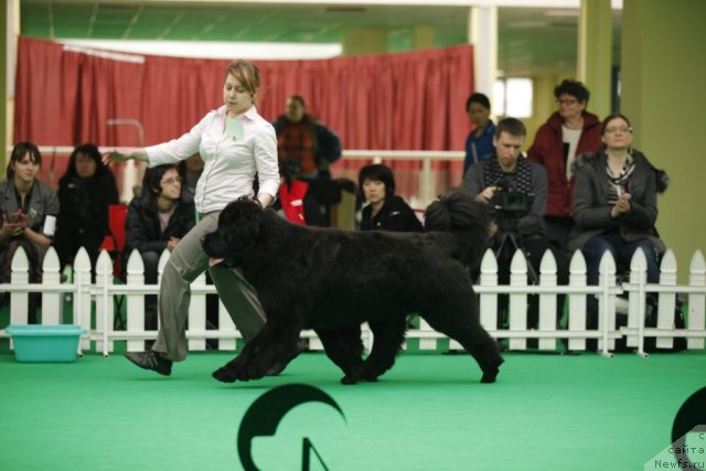 Фотография № 92488