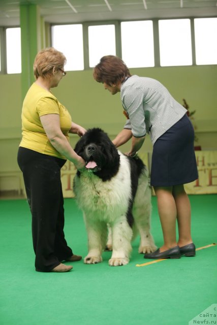 Фотография № 92490