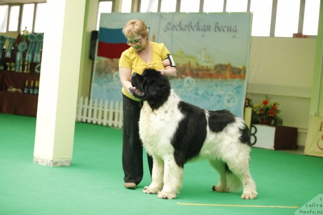 Фотография № 92492