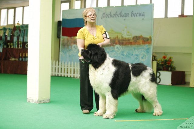 Фотография № 92493