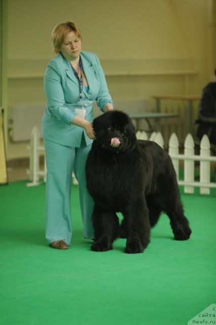 Фотография № 92495