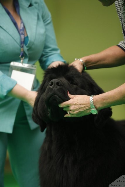 Фотография № 92496