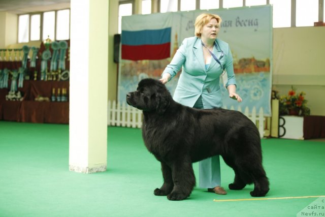 Фотография № 92497