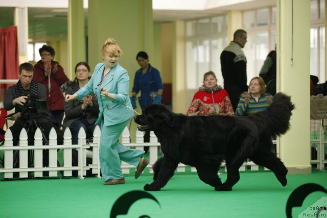 Фотография № 92498