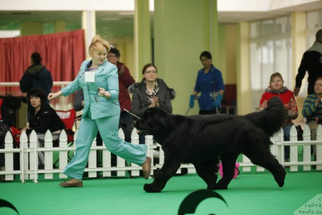 Фотография № 92499