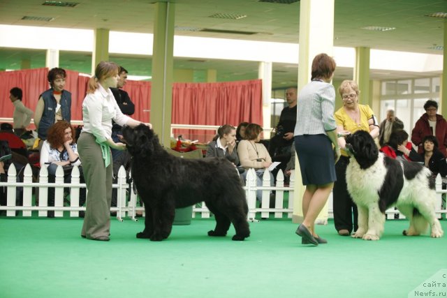 Фотография № 92501