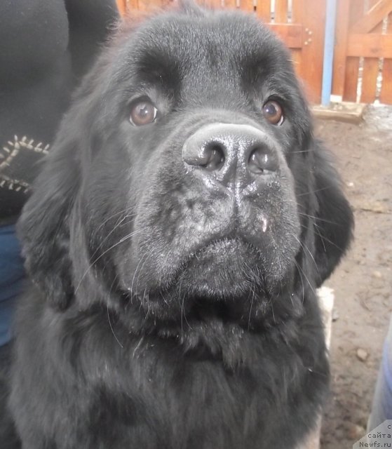 Фотография № 92513