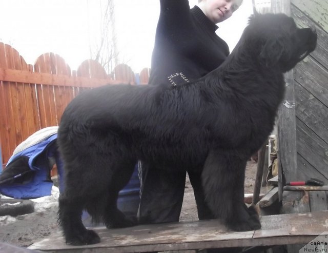 Фотография № 92517