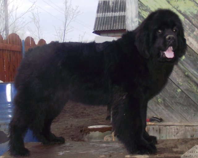 Фотография № 92524