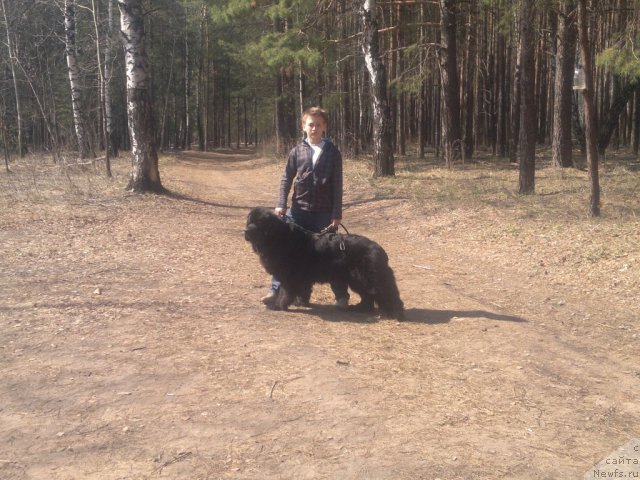 Фотография № 92537