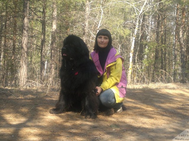 Фотография № 92538